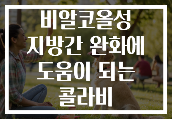 비알코올성 지방간 완화에 도움이 되는 콜라비 비알코올성 지방간 완화에 도움이 되는 콜라비