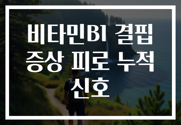 비타민B1 결핍 증상 피로 누적 신호