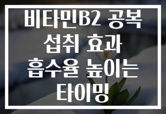 비타민B2 공복 섭취 효과 흡수율 높이는 타이밍