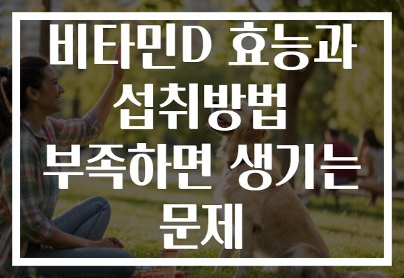 비타민D 효능과 섭취방법 부족하면 생기는 문제