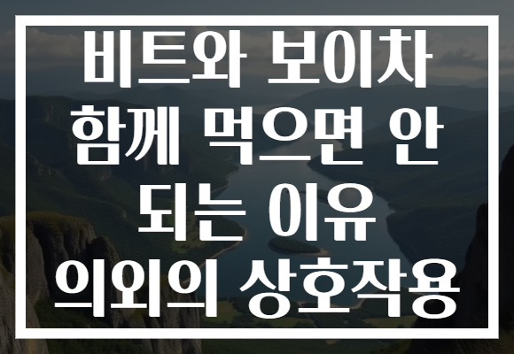 비트와 보이차 함께 먹으면 안 되는 이유 의외의 상호작용