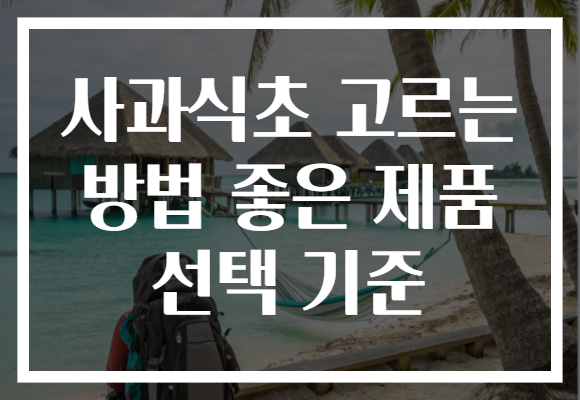사과식초 고르는 방법 좋은 제품 선택 기준