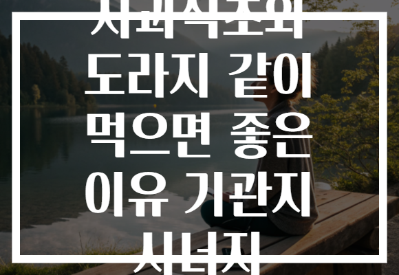 사과식초와 도라지 같이 먹으면 좋은 이유 기관지 시너지