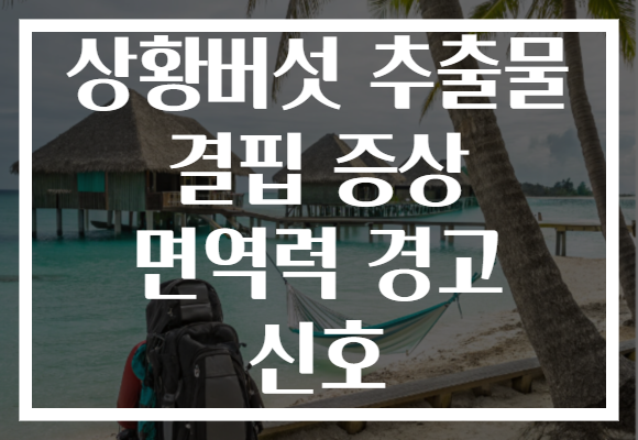 상황버섯 추출물 결핍 증상 면역력 경고 신호 상황버섯 추출물 결핍 증상 면역력 경고 신호
