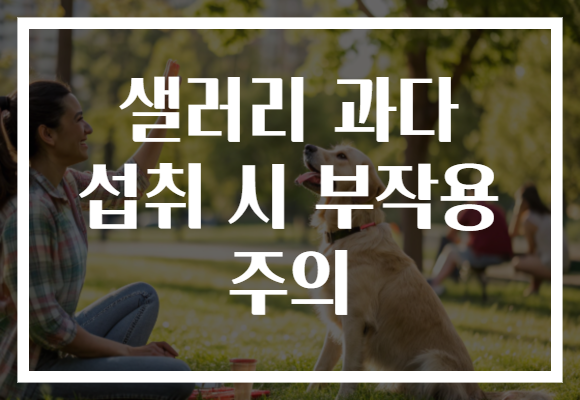샐러리 과다 섭취 시 부작용 주의