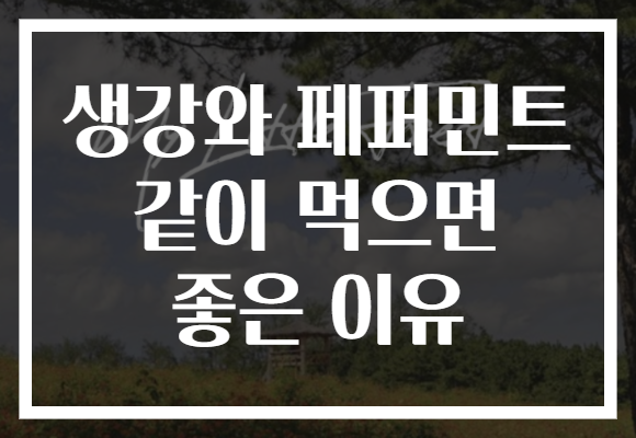 생강와 페퍼민트 같이 먹으면 좋은 이유