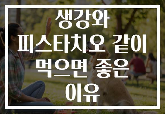 생강와 피스타치오 같이 먹으면 좋은 이유