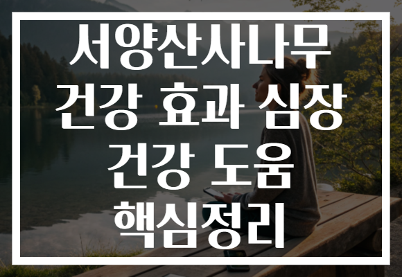 서양산사나무 건강 효과 심장 건강 도움 핵심정리