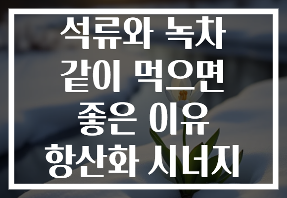 석류와 녹차 같이 먹으면 좋은 이유 항산화 시너지