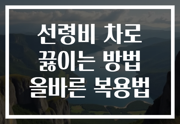 선령비 차로 끓이는 방법 올바른 복용법