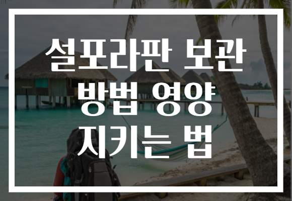 설포라판 보관 방법 영양 지키는 법 설포라판 보관 방법 영양 지키는 법