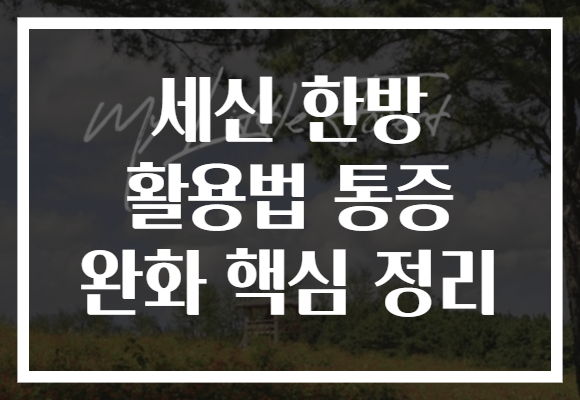 세신 한방 활용법 통증 완화 핵심 정리