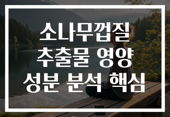 소나무껍질 추출물 영양 성분 분석 핵심 소나무껍질 추출물 영양 성분 분석 핵심