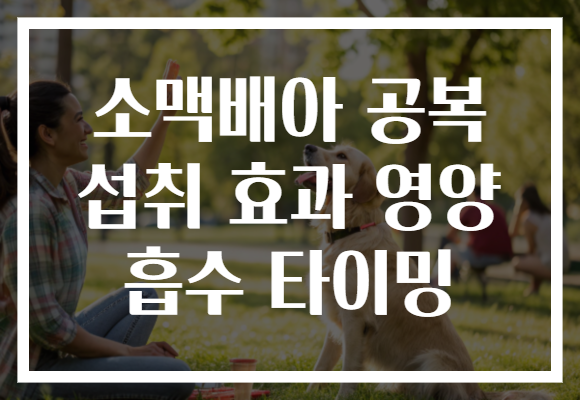 소맥배아 공복 섭취 효과 영양 흡수 타이밍