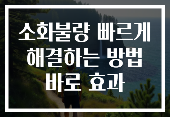소화불량 빠르게 해결하는 방법 바로 효과