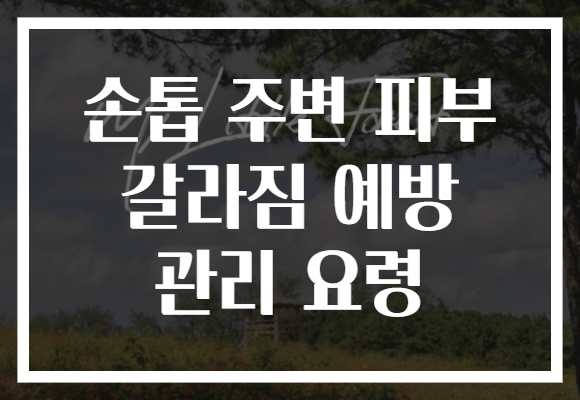 손톱 주변 피부 갈라짐 예방 관리 요령