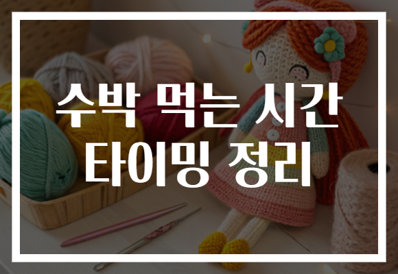 수박 먹는 시간 타이밍 정리