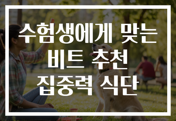 수험생에게 맞는 비트 추천 집중력 식단 수험생에게 맞는 비트 추천 집중력 식단