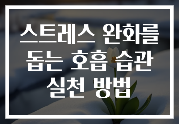 스트레스 완화를 돕는 호흡 습관 실천 방법