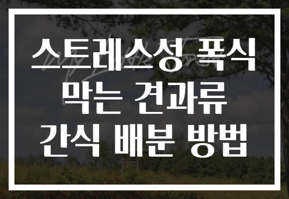 스트레스성 폭식 막는 견과류 간식 배분 방법 스트레스성 폭식 막는 견과류 간식 배분 방법