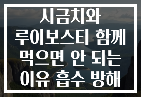 시금치와 루이보스티 함께 먹으면 안 되는 이유 흡수 방해