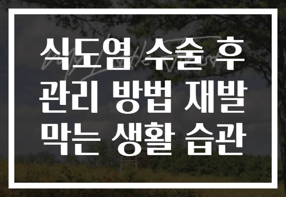식도염 수술 후 관리 방법 재발 막는 생활 습관