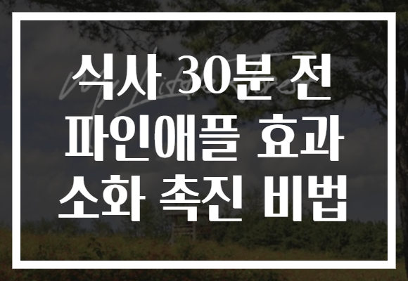 식사 30분 전 파인애플 효과 소화 촉진 비법