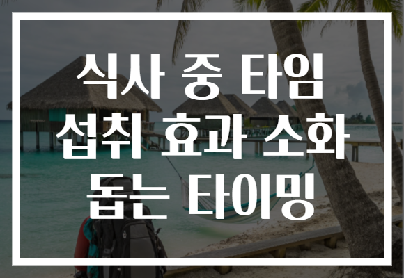 식사 중 타임 섭취 효과 소화 돕는 타이밍