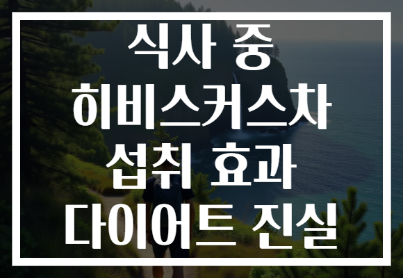 식사 중 히비스커스차 섭취 효과 다이어트 진실