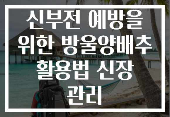 신부전 예방을 위한 방울양배추 활용법 신장 관리