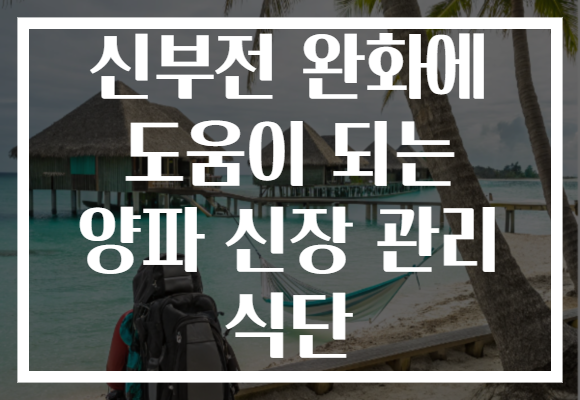 신부전 완화에 도움이 되는 양파 신장 관리 식단