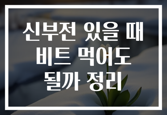 신부전 있을 때 비트 먹어도 될까 정리