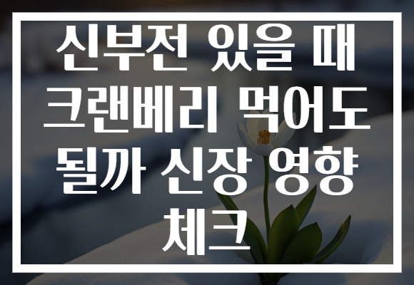 신부전 있을 때 크랜베리 먹어도 될까 신장 영향 체크