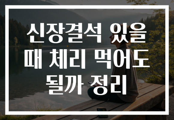 신장결석 있을 때 체리 먹어도 될까 정리