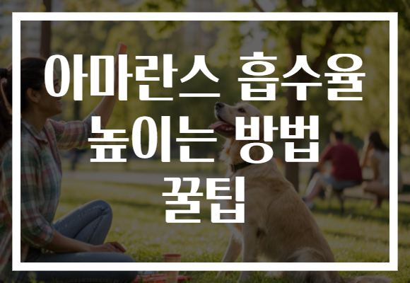 아마란스 흡수율 높이는 방법 꿀팁 아마란스 흡수율 높이는 방법 꿀팁