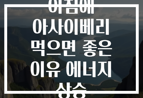 아침에 아사이베리 먹으면 좋은 이유 에너지 상승