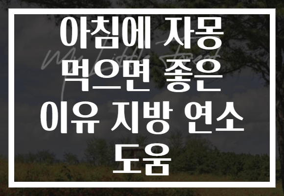 아침에 자몽 먹으면 좋은 이유 지방 연소 도움