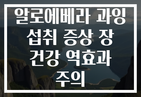 알로에베라 과잉 섭취 증상 장 건강 역효과 주의