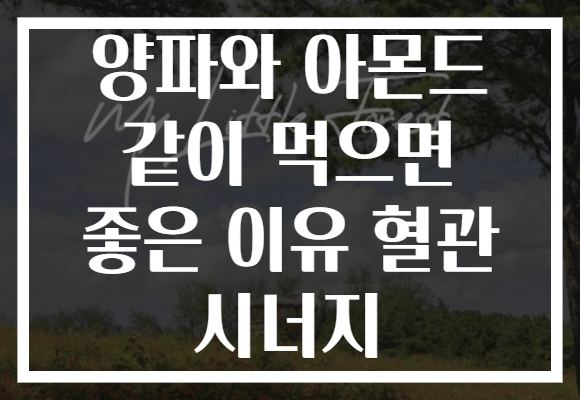 양파와 아몬드 같이 먹으면 좋은 이유 혈관 시너지