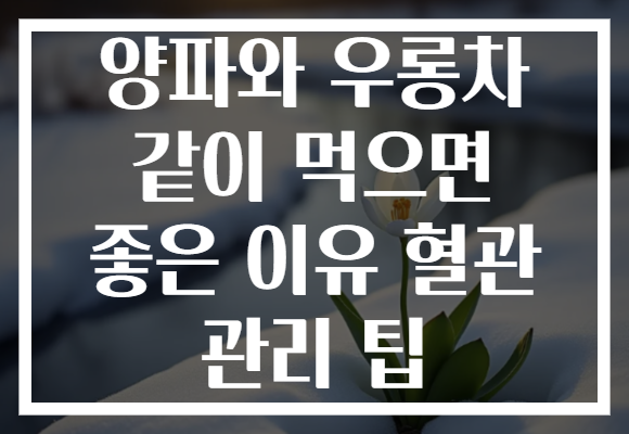양파와 우롱차 같이 먹으면 좋은 이유 혈관 관리 팁