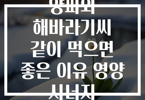 양파와 해바라기씨 같이 먹으면 좋은 이유 영양 시너지