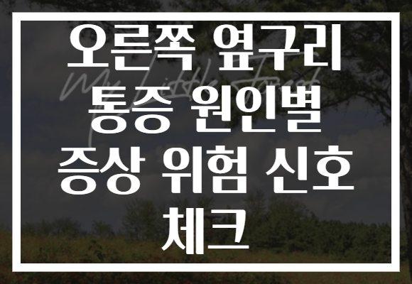 오른쪽 옆구리 통증 원인별 증상 위험 신호 체크