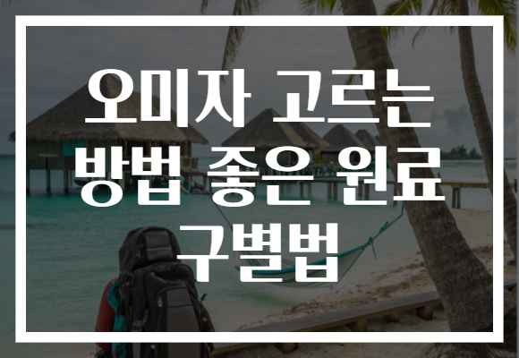 오미자 고르는 방법 좋은 원료 구별법