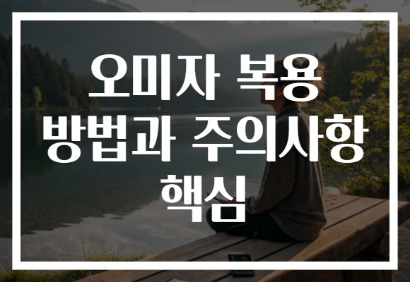 오미자 복용 방법과 주의사항 핵심 오미자 복용 방법과 주의사항 핵심