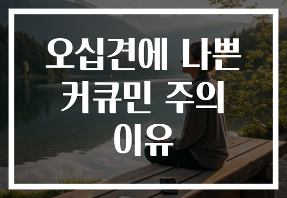 오십견에 나쁜 커큐민 주의 이유