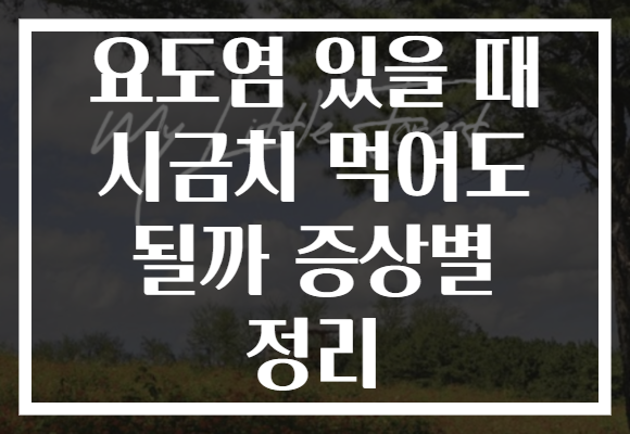 요도염 있을 때 시금치 먹어도 될까 증상별 정리