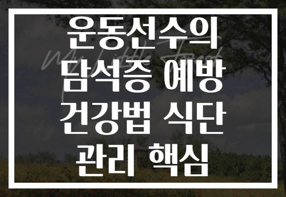 운동선수의 담석증 예방 건강법 식단 관리 핵심