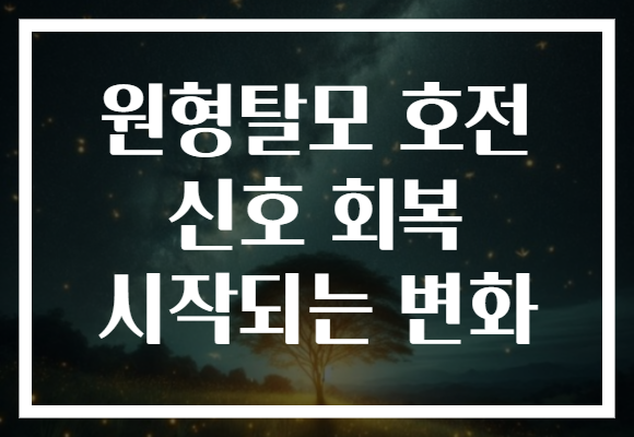 원형탈모 호전 신호 회복 시작되는 변화