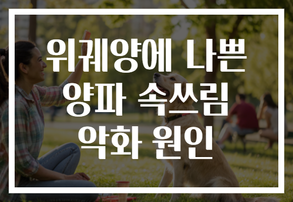 위궤양에 나쁜 양파 속쓰림 악화 원인