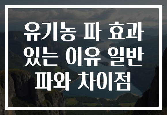유기농 파 효과 있는 이유 일반 파와 차이점
